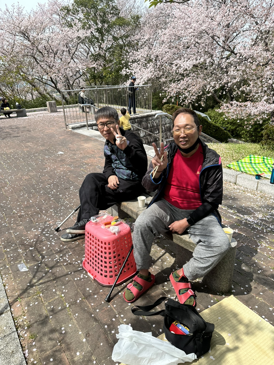 お花見３